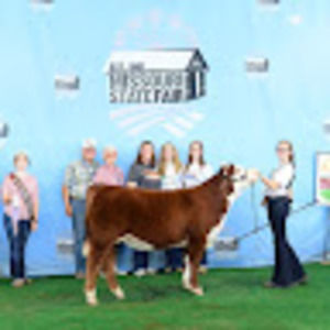 Meet your Posher, Maggie